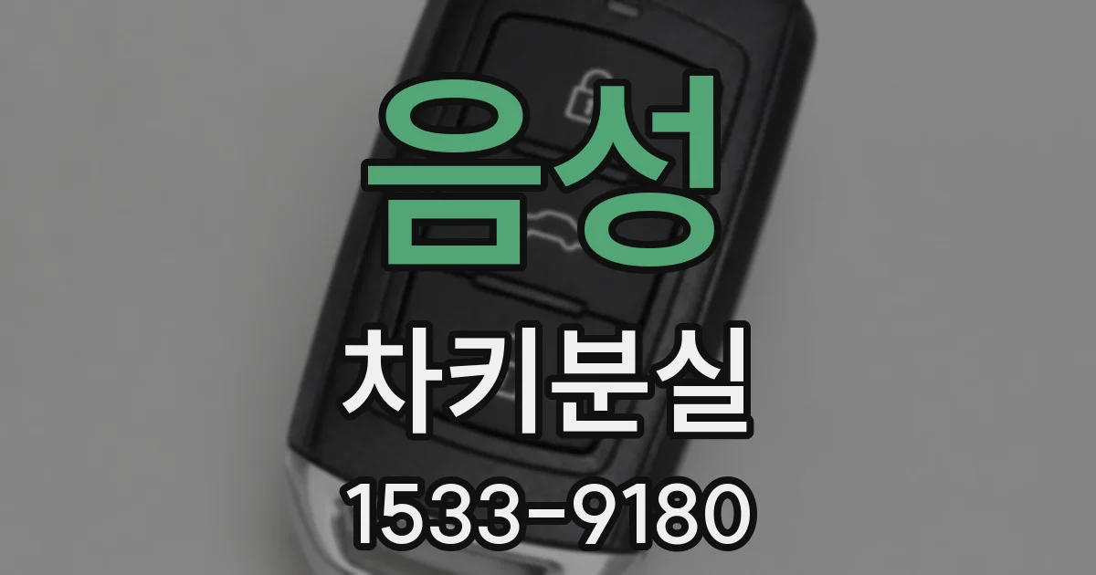 음성 차키분실