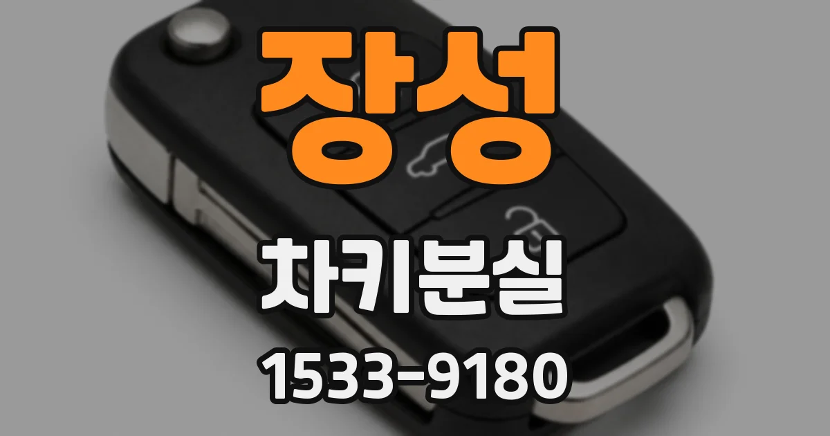 장성 차키분실