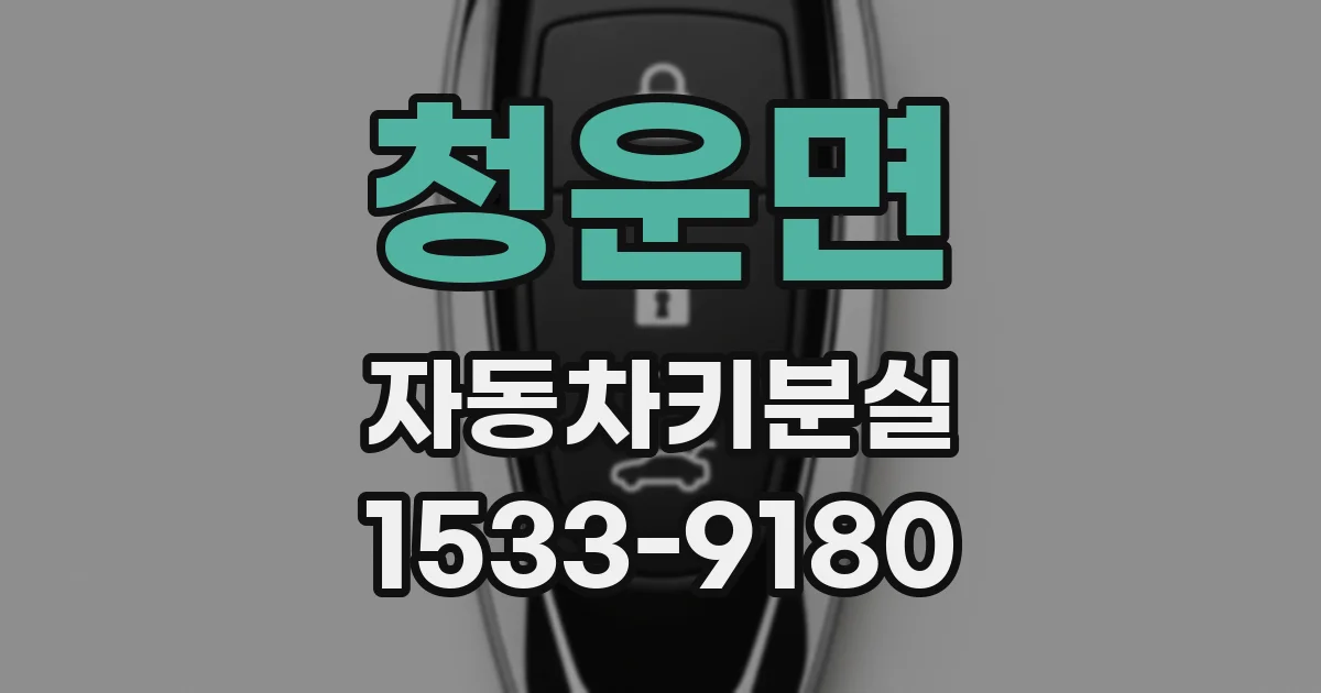 청운면 자동차키분실