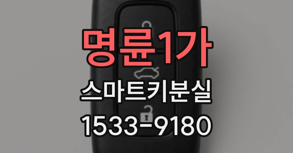 명륜1가 스마트키분실