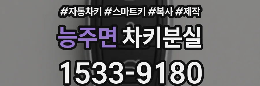능주면 차키분실