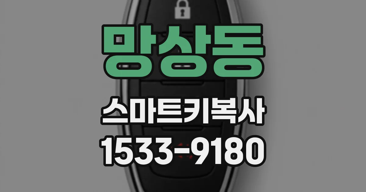 망상동 스마트키복사