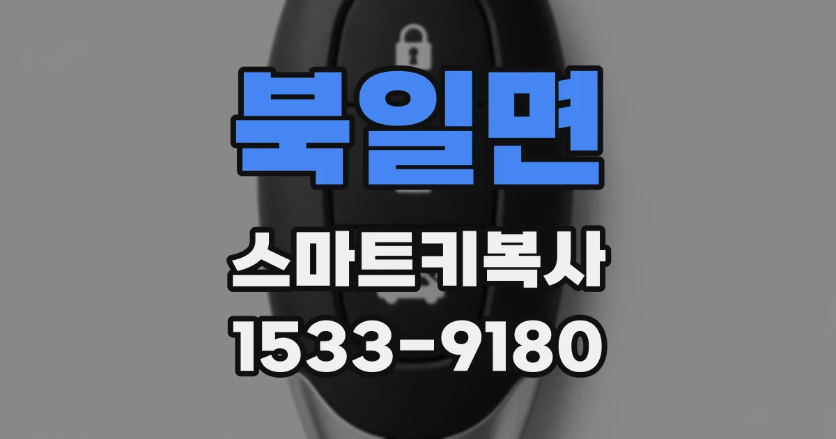 북일면 스마트키복사