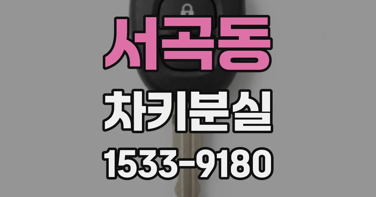 서곡동 차키분실