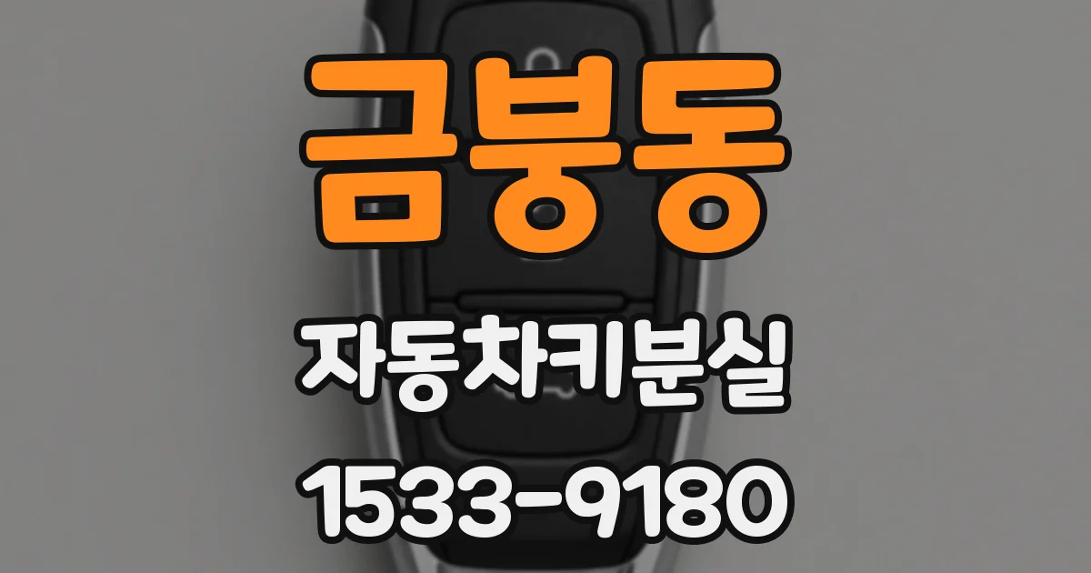 금붕동 자동차키분실