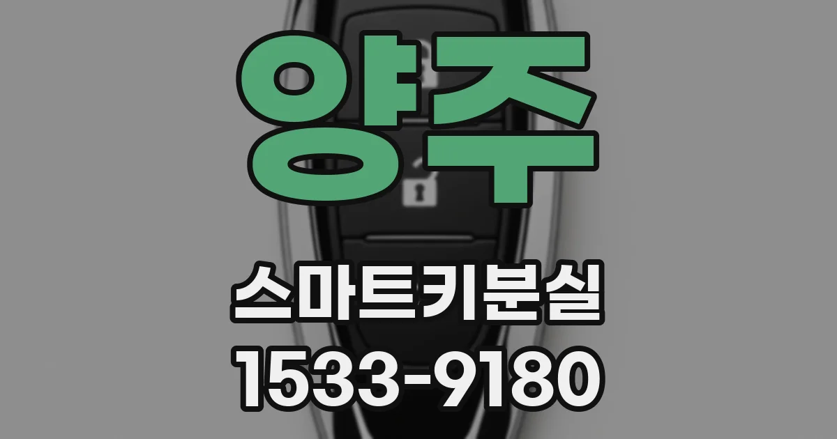 양주 스마트키분실
