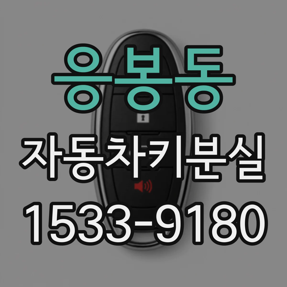 응봉동 자동차키분실