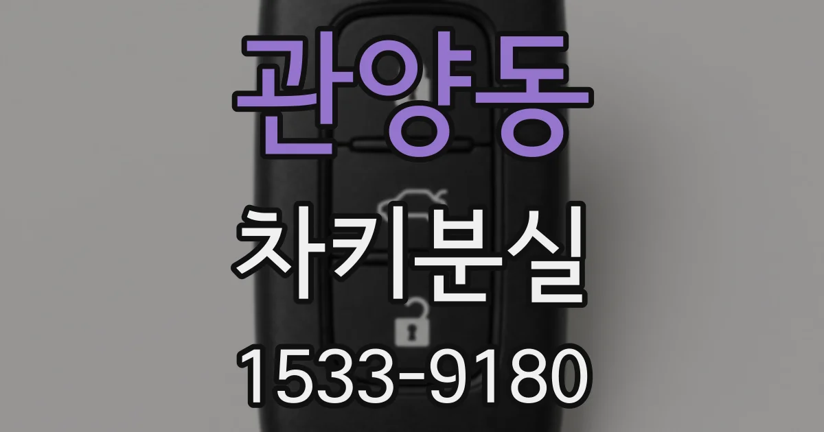 관양동 차키분실