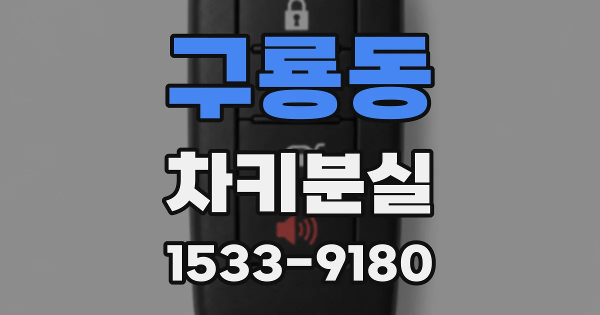 구룡동 차키분실