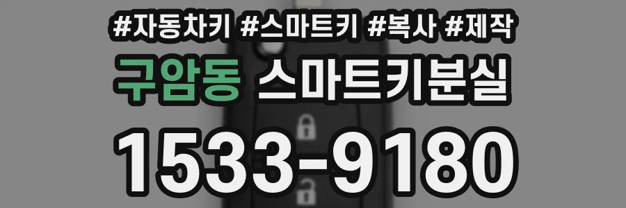 구암동 스마트키분실
