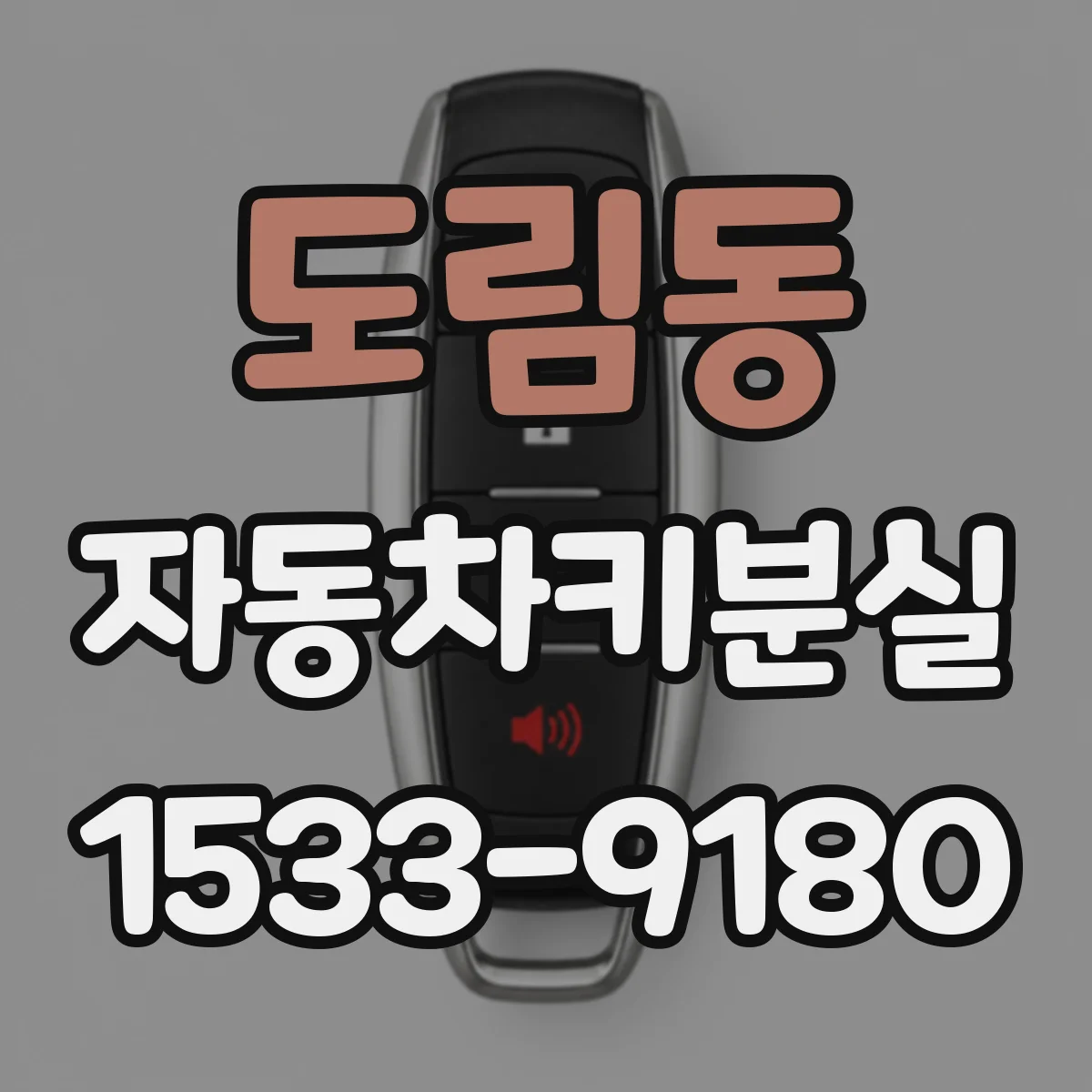 도림동 자동차키분실