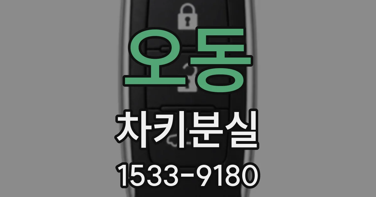 오동 차키분실
