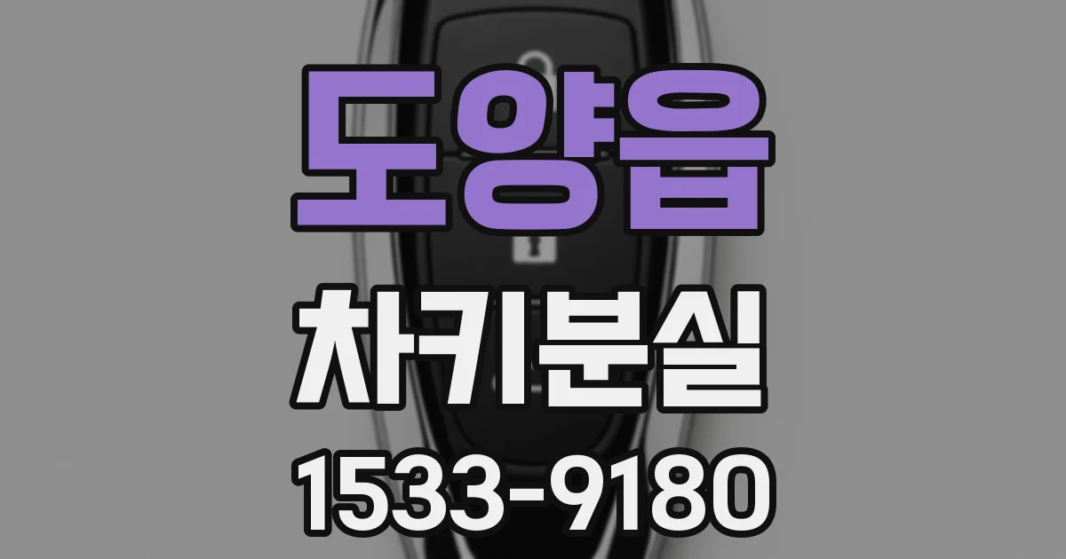 도양읍 차키분실