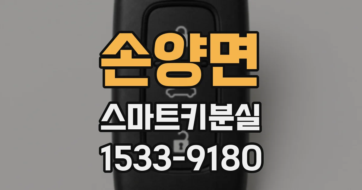 손양면 스마트키분실
