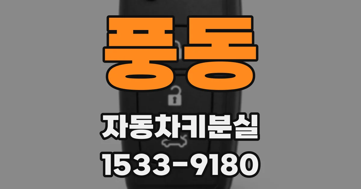 풍동 자동차키분실