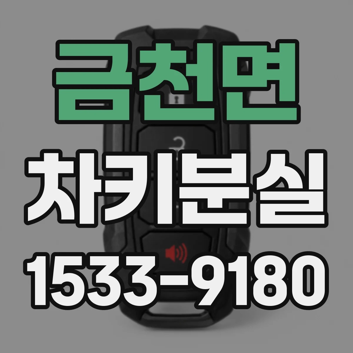 금천면 차키분실