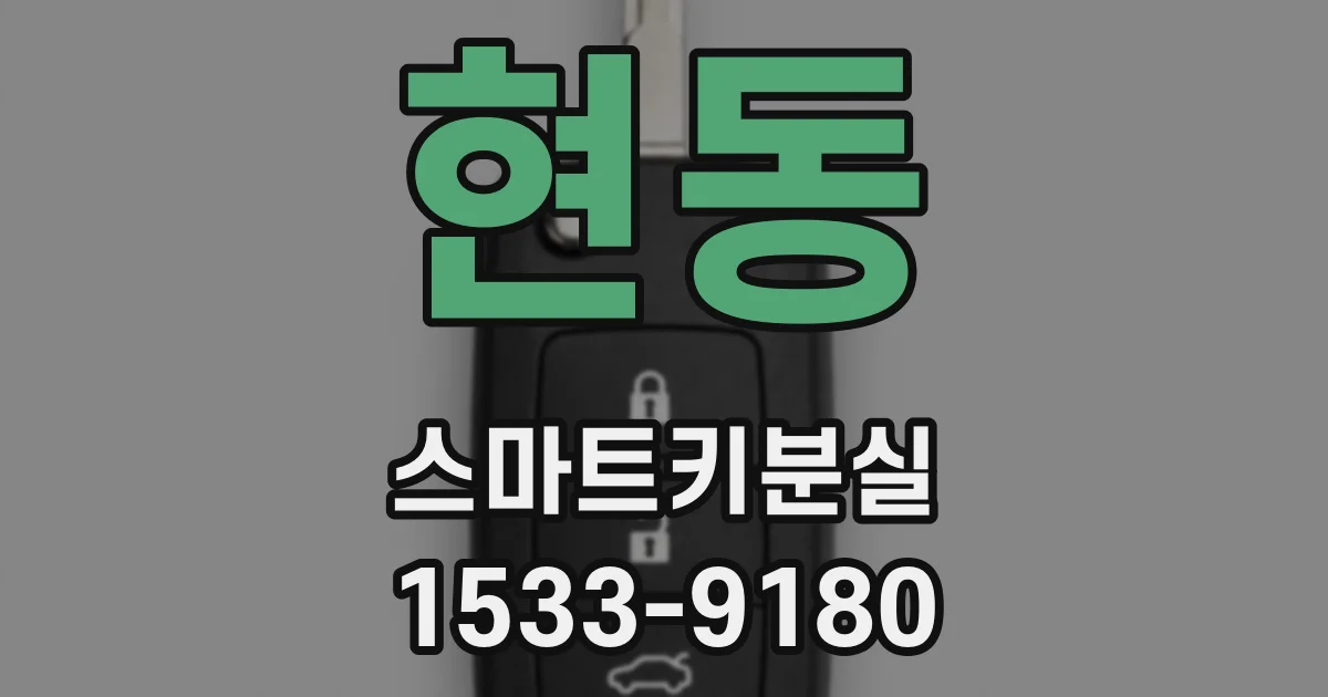 현동 스마트키분실