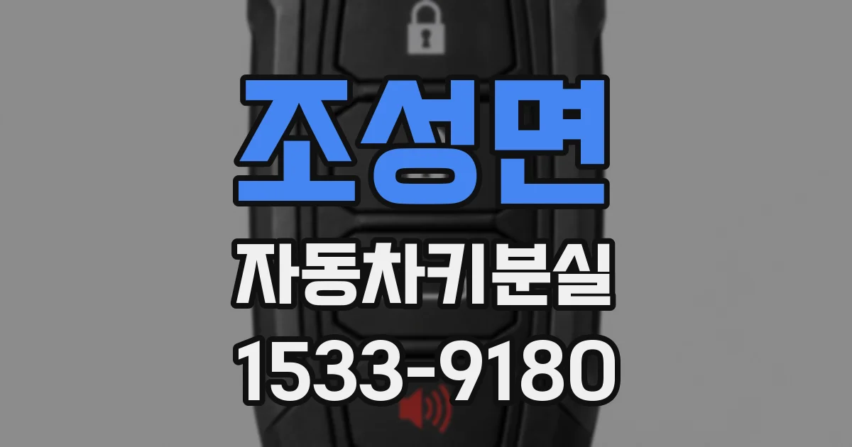 조성면 자동차키분실