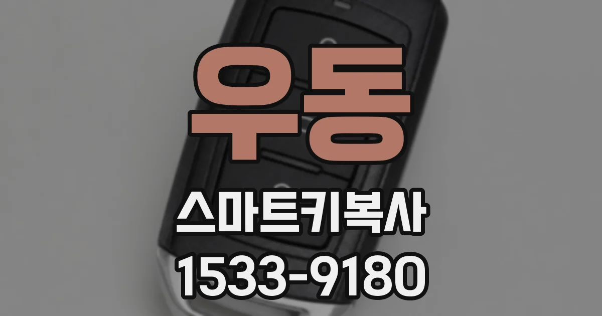 우동 스마트키복사