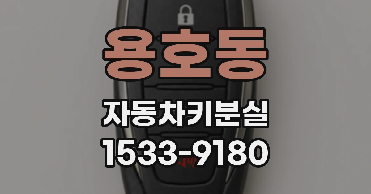 용호동 자동차키분실