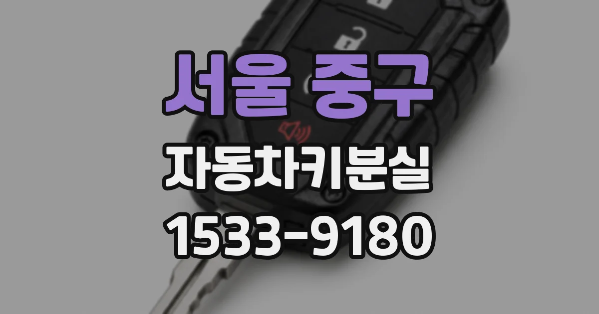 서울 중구 자동차키분실