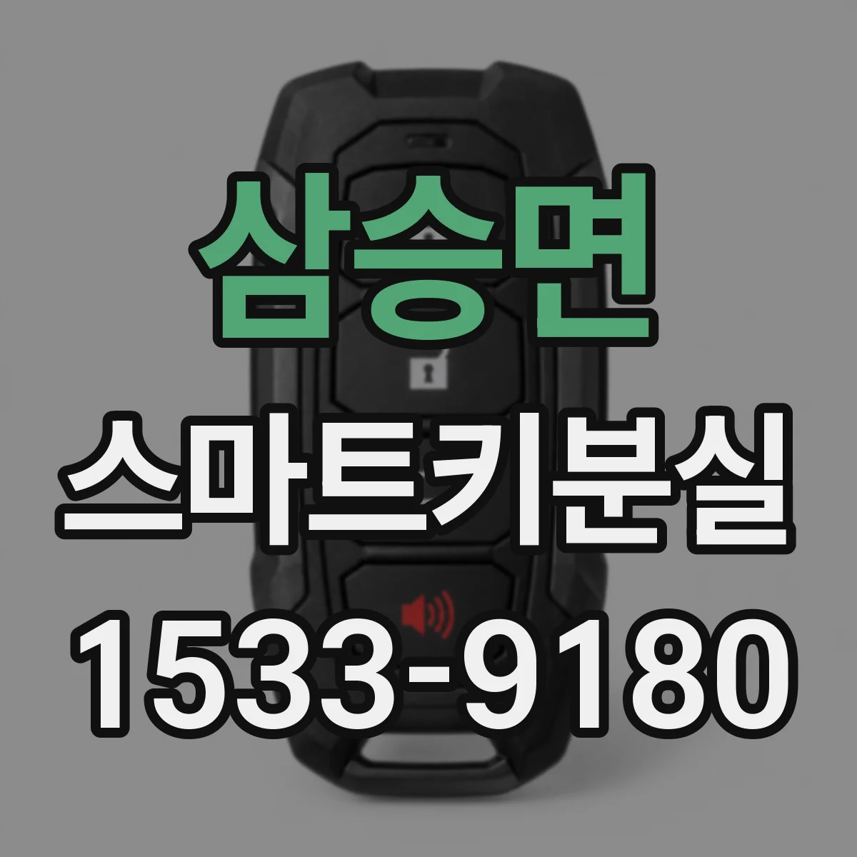 삼승면 스마트키분실