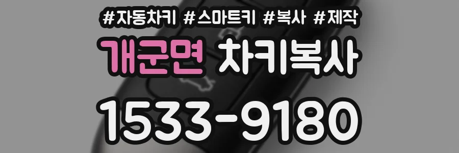 개군면 차키복사