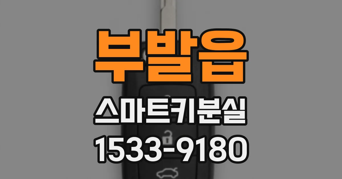 부발읍 스마트키분실