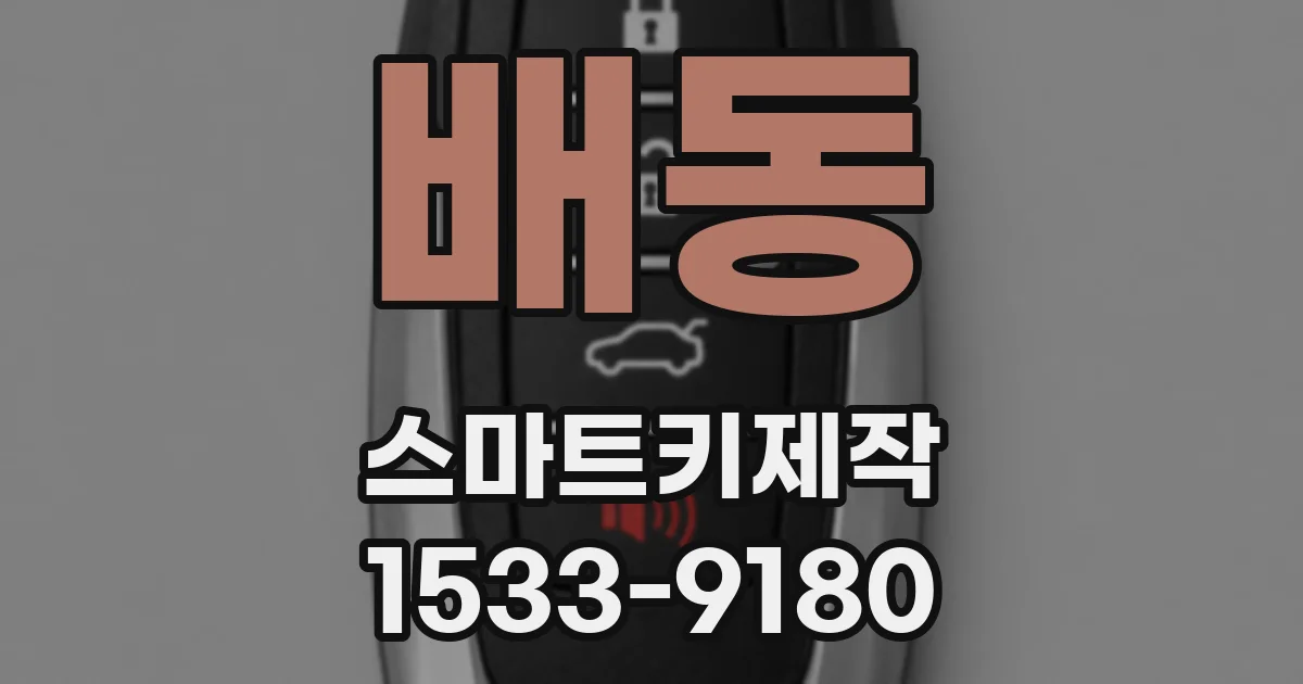 배동 스마트키제작