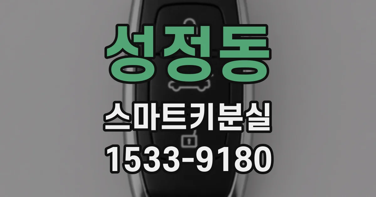 성정동 스마트키분실