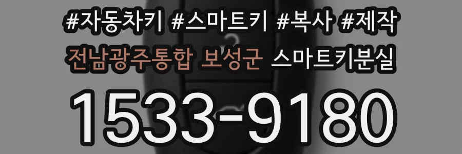 전남광주통합 보성군 스마트키분실