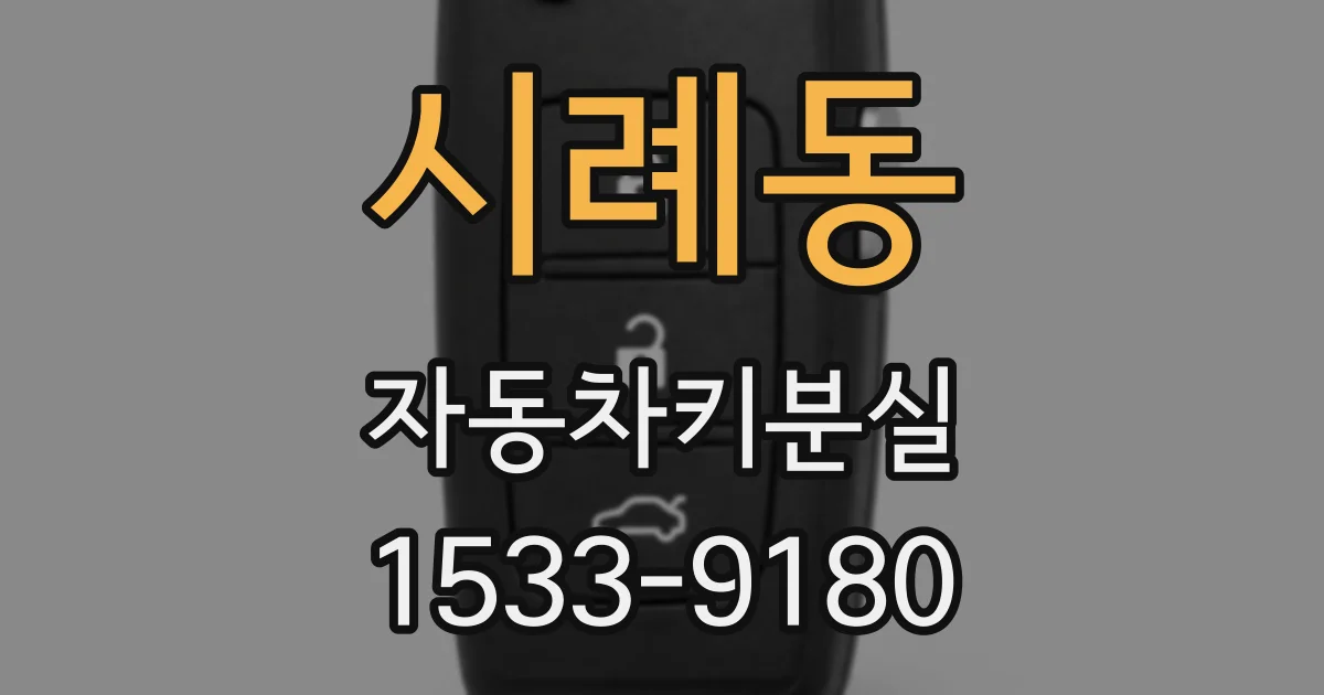 시례동 자동차키분실