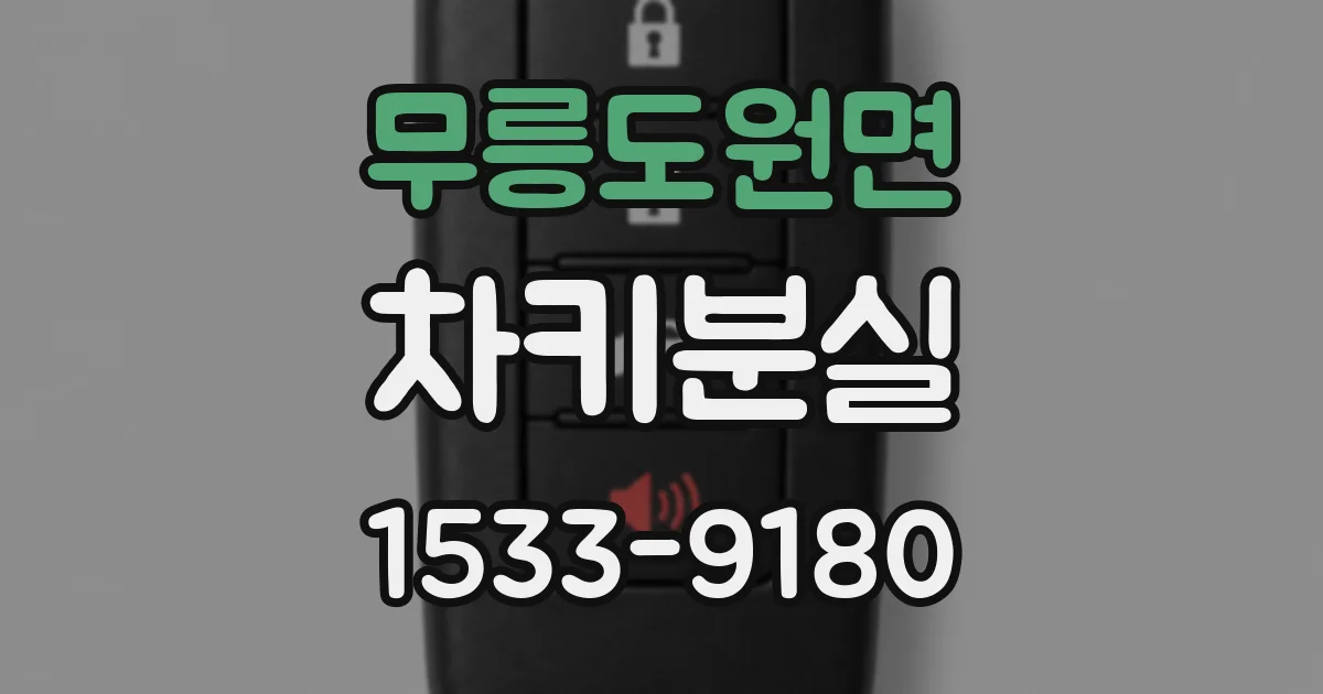 무릉도원면 차키분실