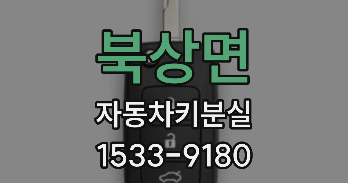 북상면 자동차키분실