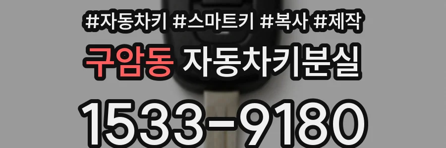구암동 자동차키분실
