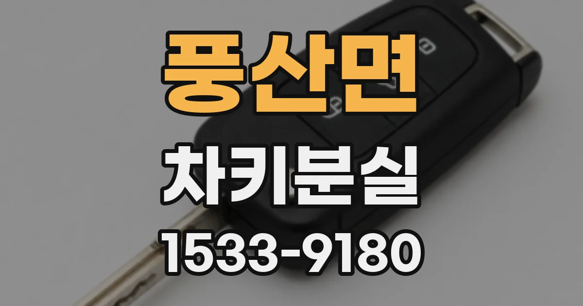 풍산면 차키분실