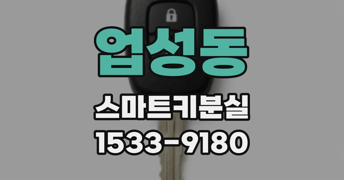 업성동 스마트키분실