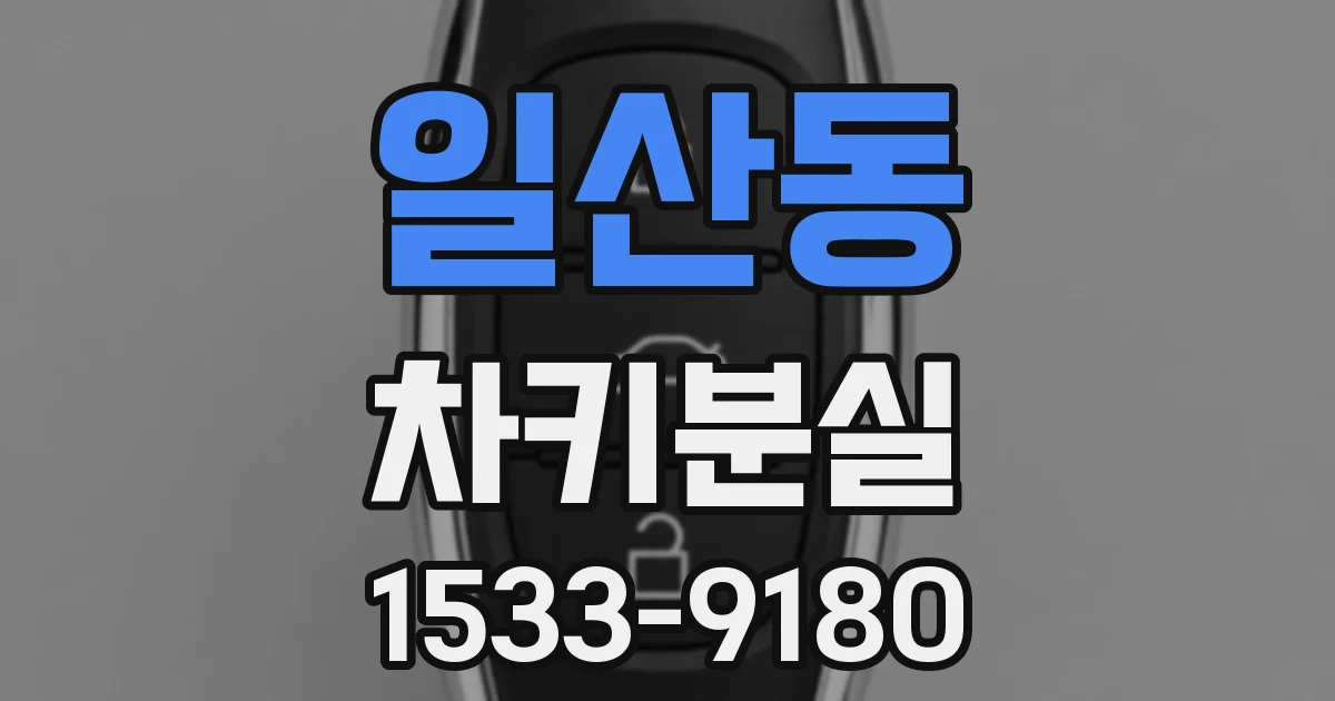 일산동 차키분실