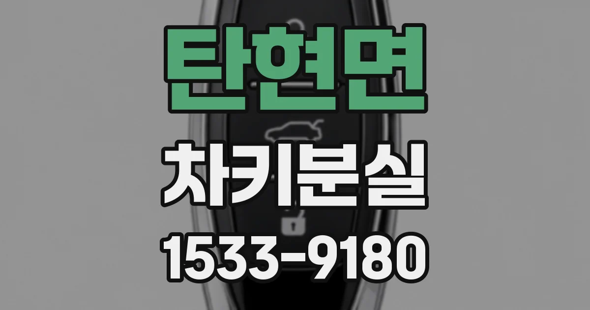 탄현면 차키분실