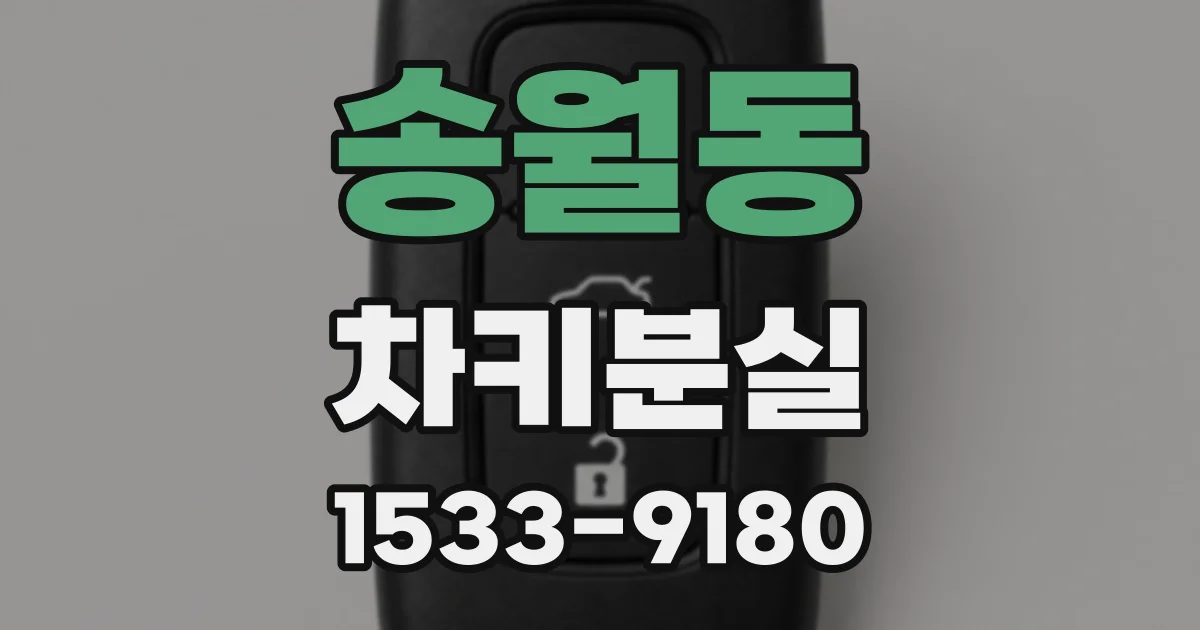 송월동 차키분실