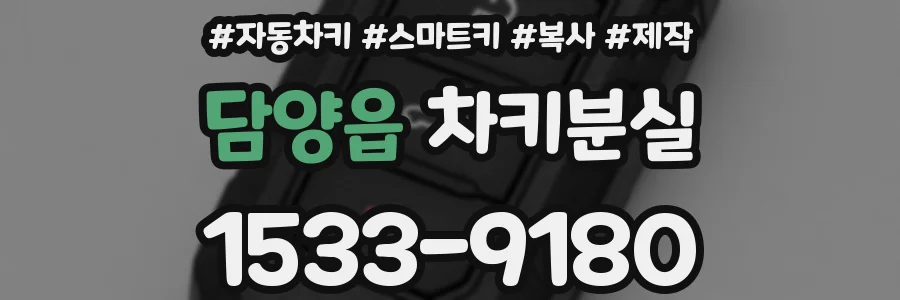 담양읍 차키분실