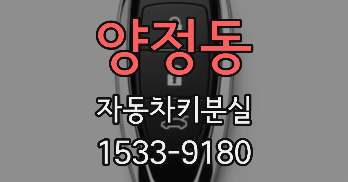 양정동 자동차키분실