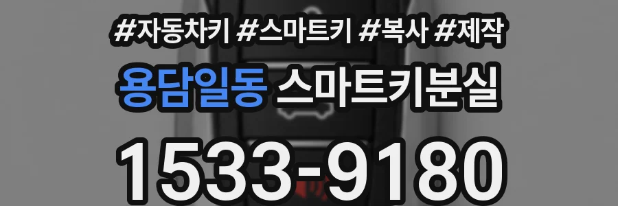 용담일동 스마트키분실
