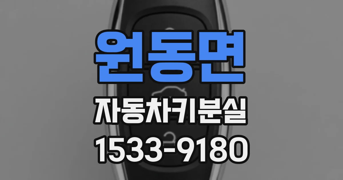 원동면 자동차키분실