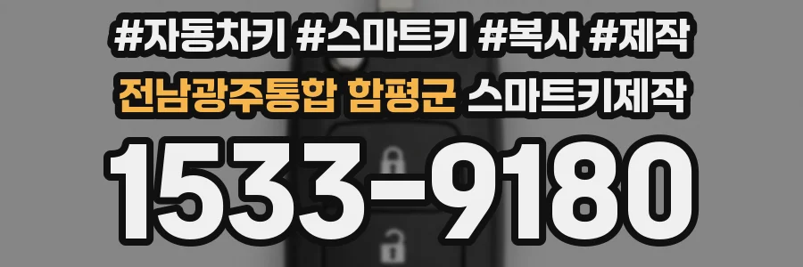 전남광주통합 함평군 스마트키제작