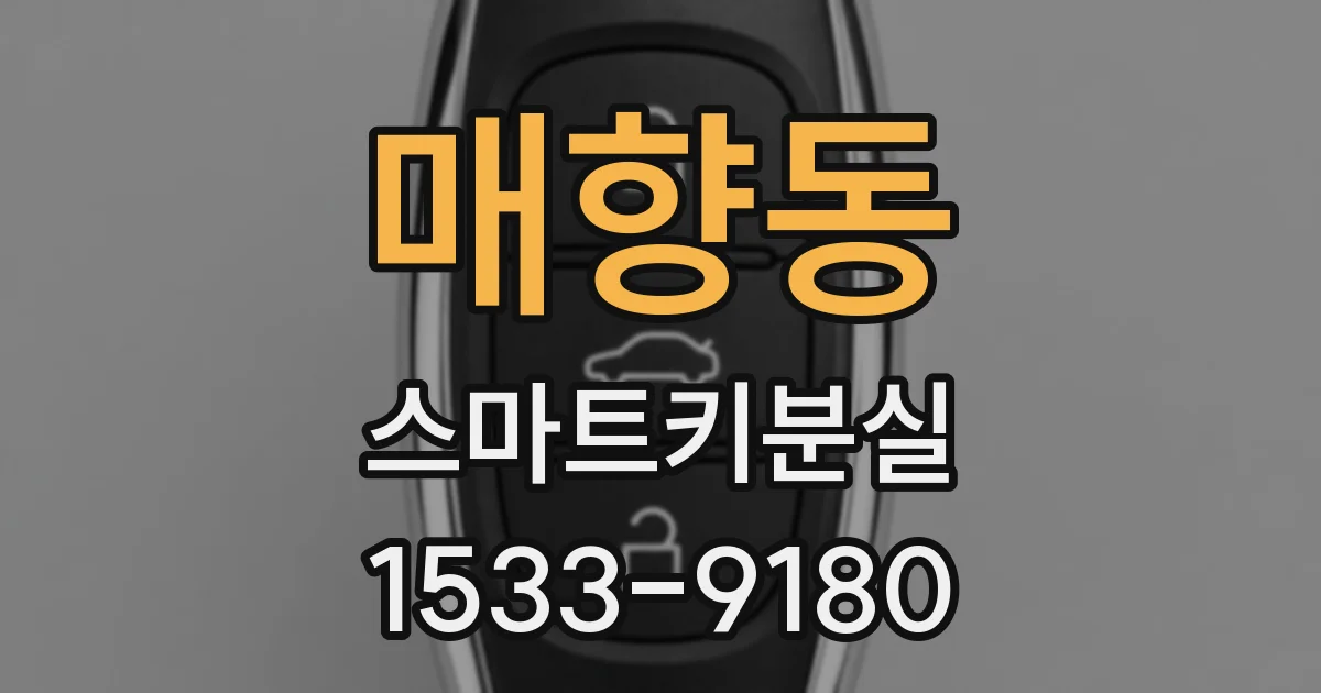 매향동 스마트키분실