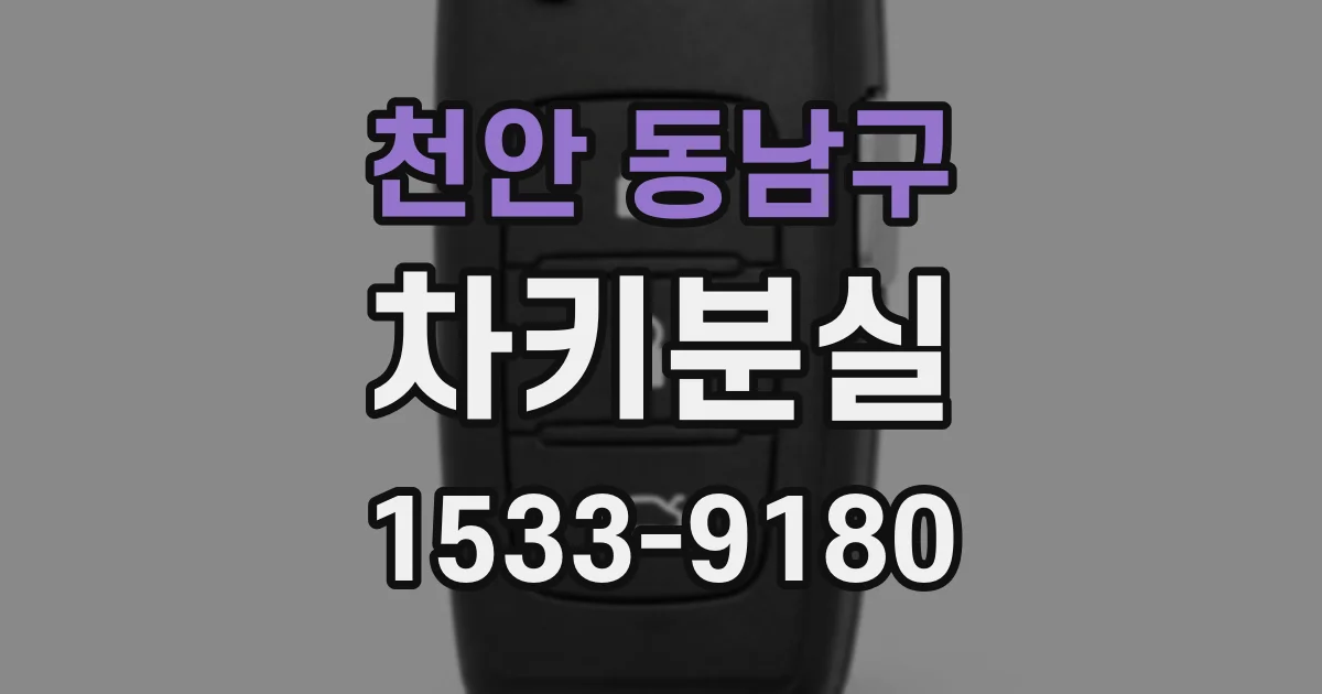 천안 동남구 차키분실
