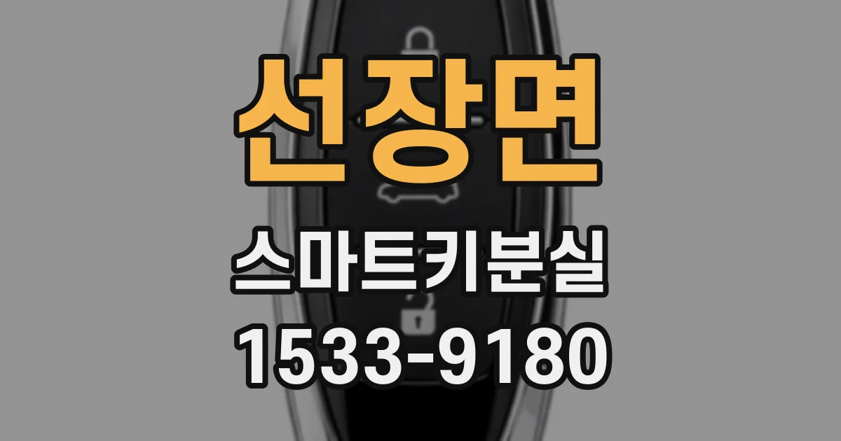 선장면 스마트키분실