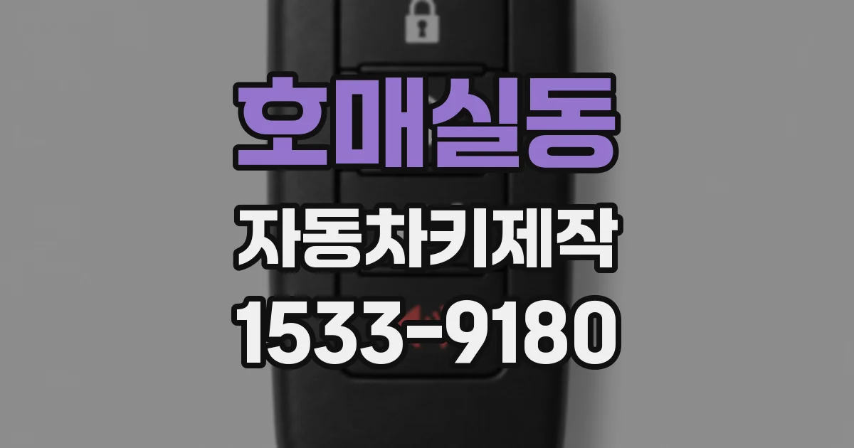 호매실동 자동차키제작