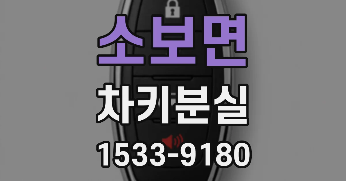 소보면 차키분실